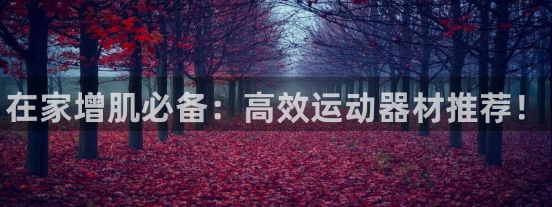 意昂5(KGAME)娱乐平台:在家增肌必备:高效运动器材推荐